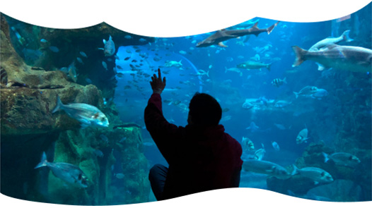 Aquarium